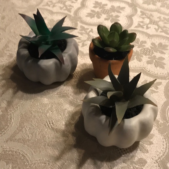 30%off bundles🌵2 or more items! - Picture 1 of 3